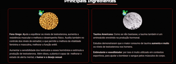 X PLUS - Imagem 2