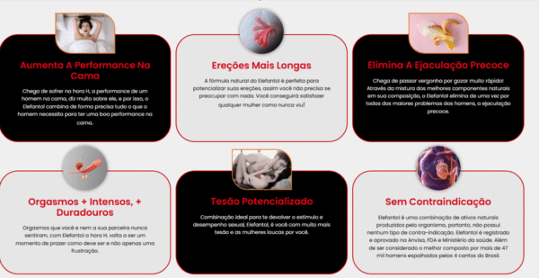 ELEFANTOL - Imagem 3