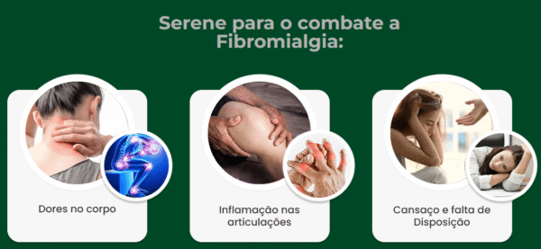 SERENE - Imagem 4