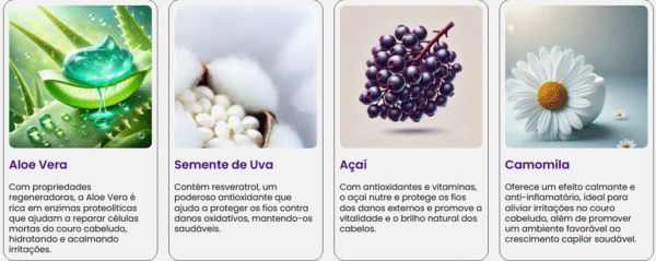 Revicolor - Imagem 4